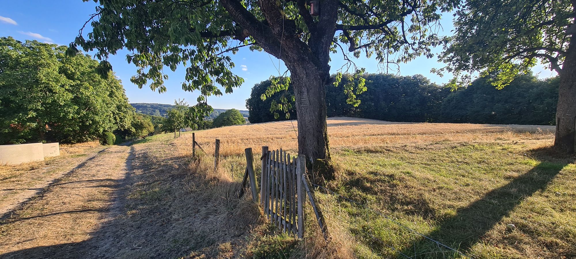 Feldweg mit kleinem Holztürchen nahe der Ferienwohnung