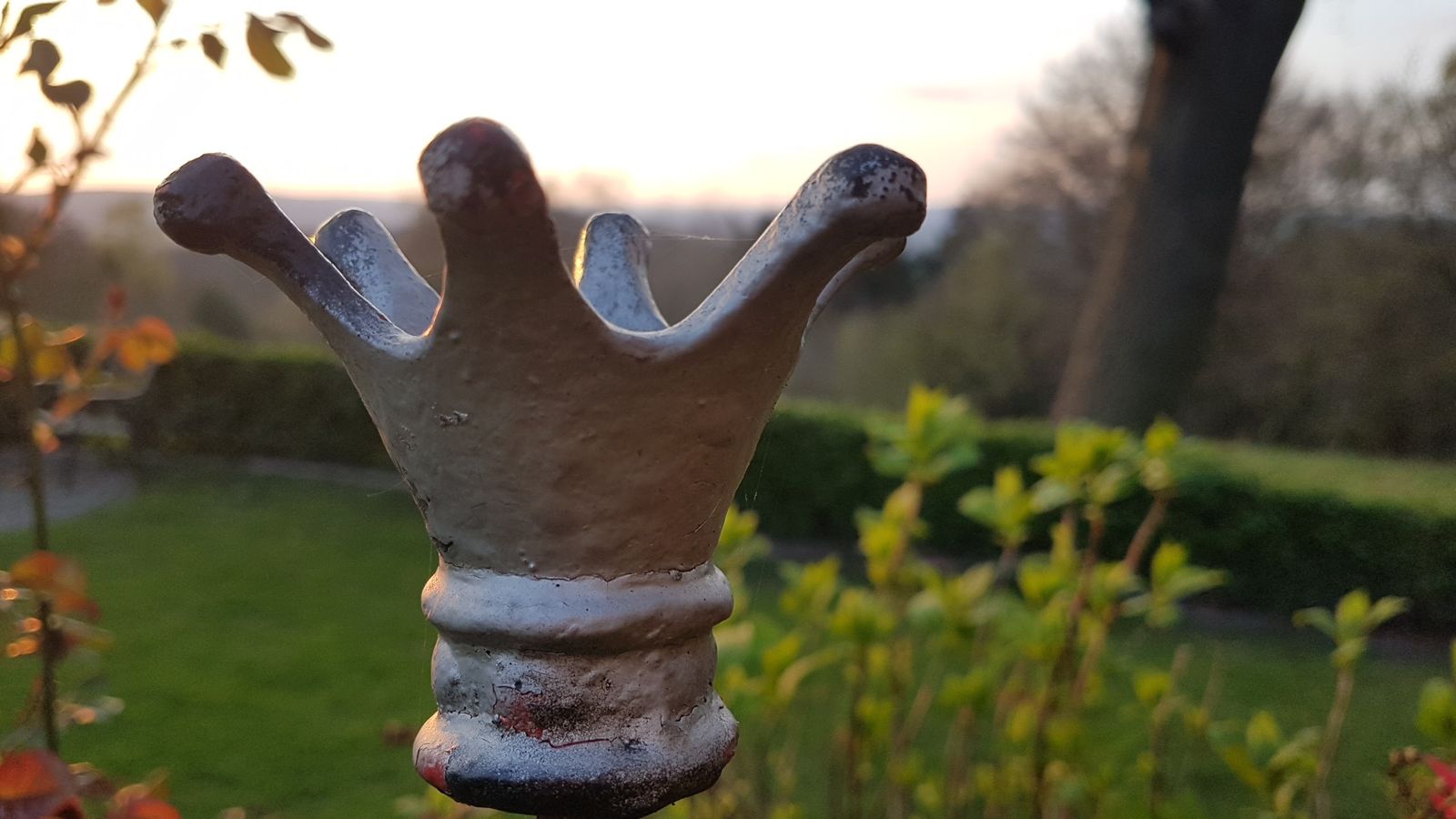 Gartendetail im Abendlicht