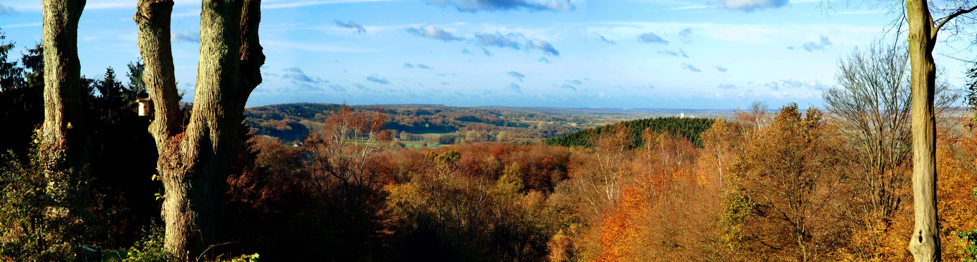 Weiter Blick über das Münsterland im Herbst