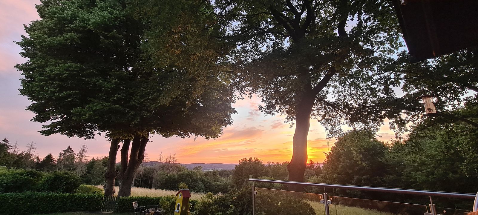 Sonnenuntergang im Garten